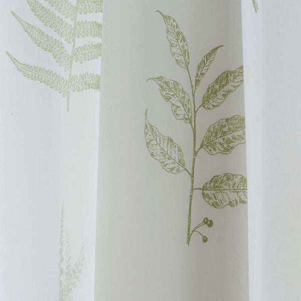 bracken-green-close-up_600x.jpg