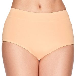 Microfiber Smoothing High Rise Brief Panty
